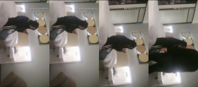 一区三区视频在线观看-最近更新中文字幕成长在线视频免费观看