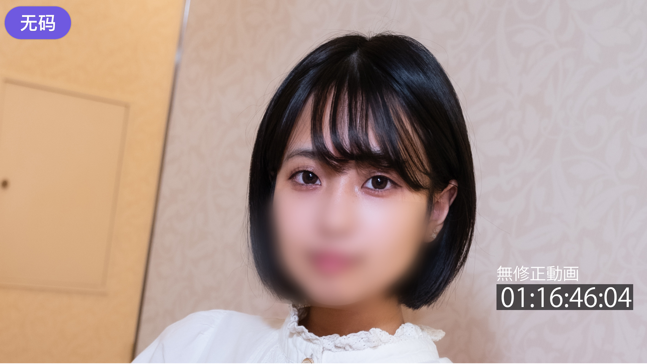91视频精品-高清中字在线观看