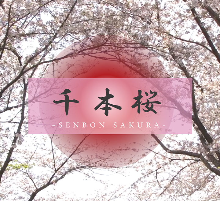 国产洗浴女技师全套av-高清完整版免费成长在线视频免费观看